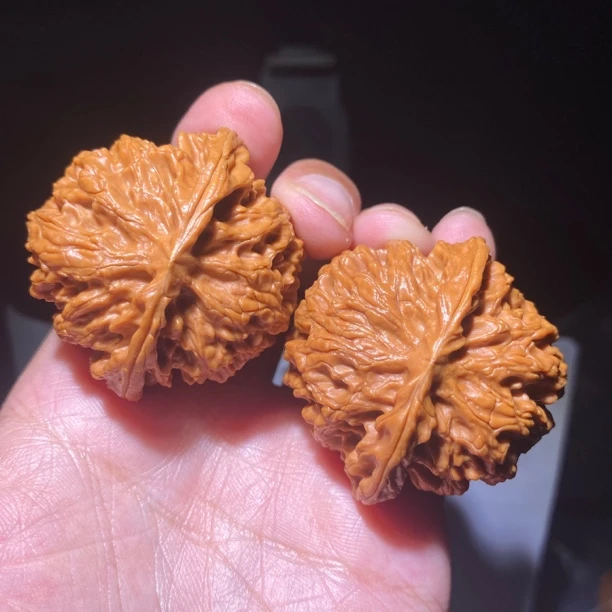 H30号45尺寸苹果园全品无修文玩核桃一物一图打好底