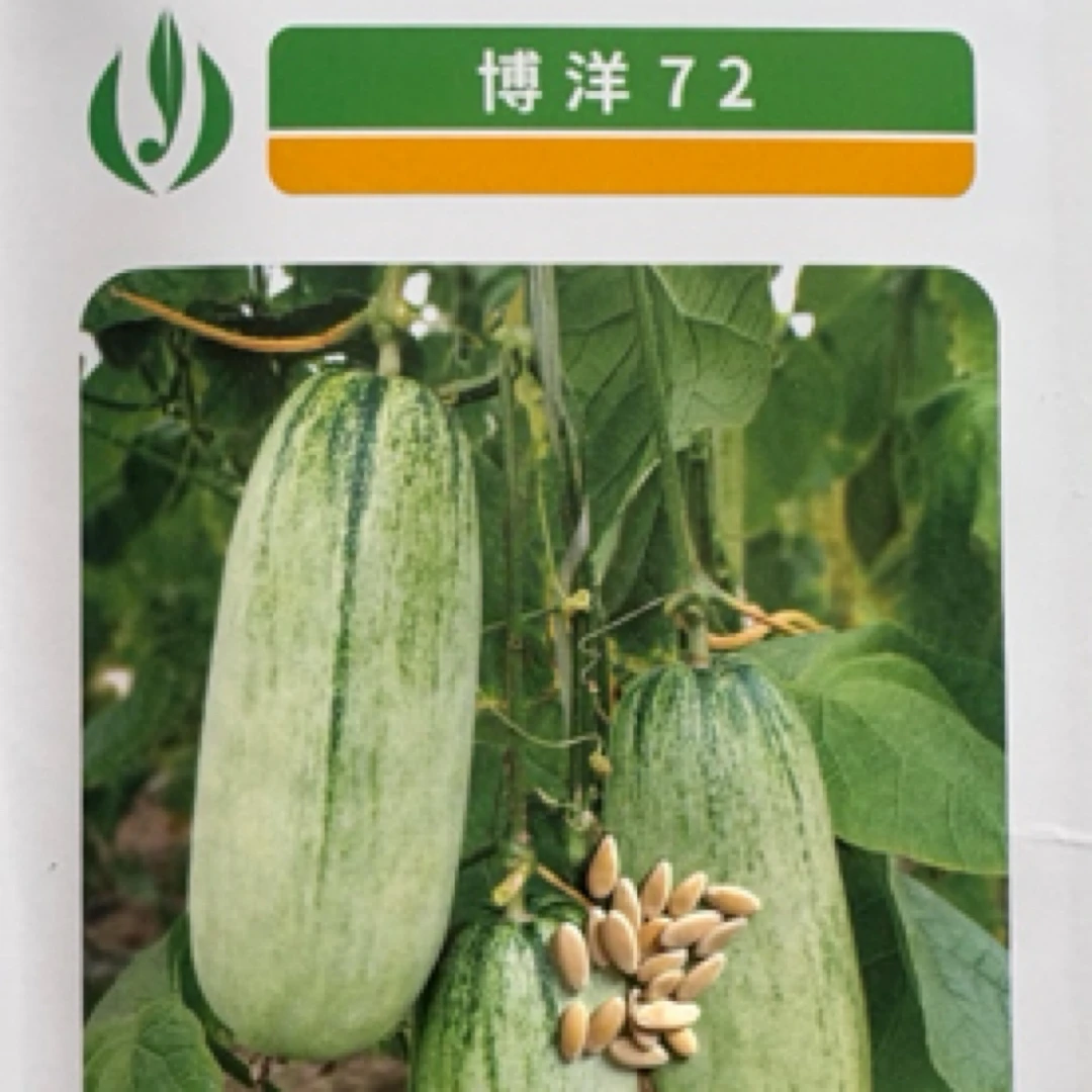 博洋72 20粒包装