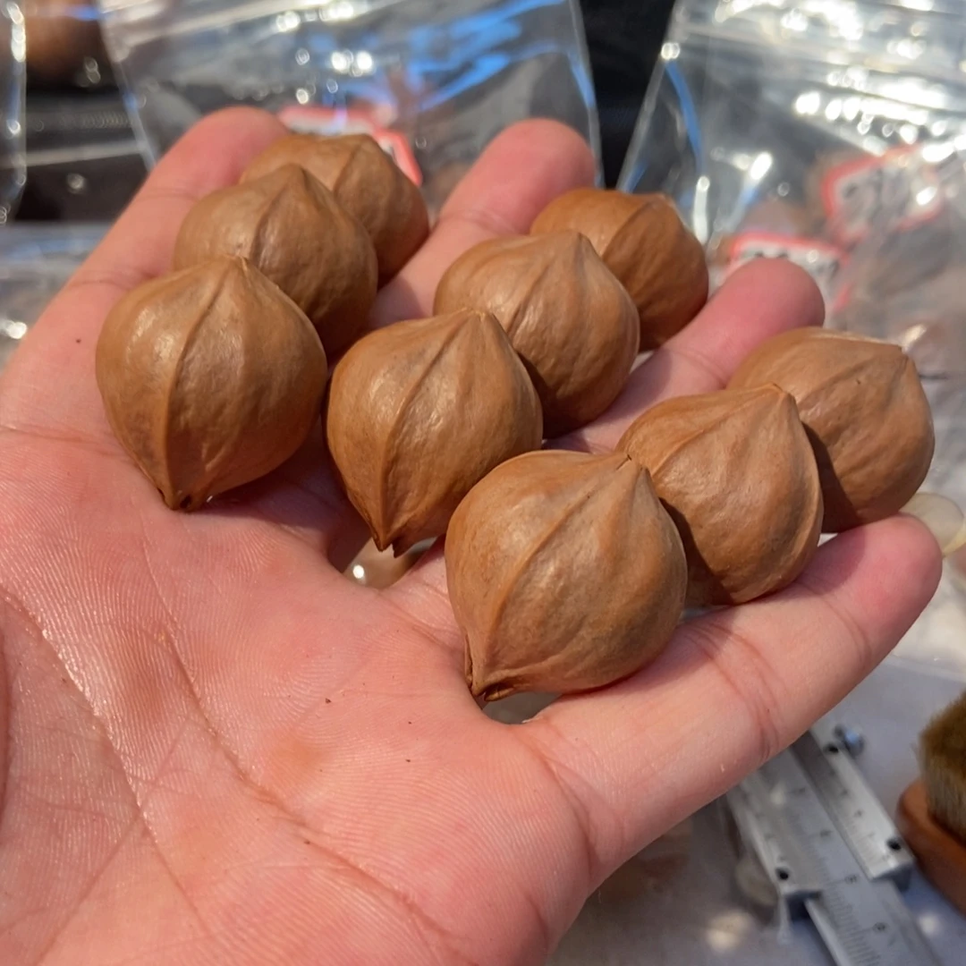 一***来橄榄核吊坠橄榄橄榄