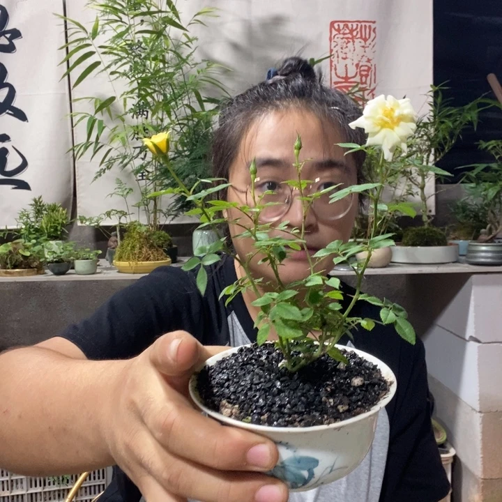L***无花朵退款拉黑拉黑288