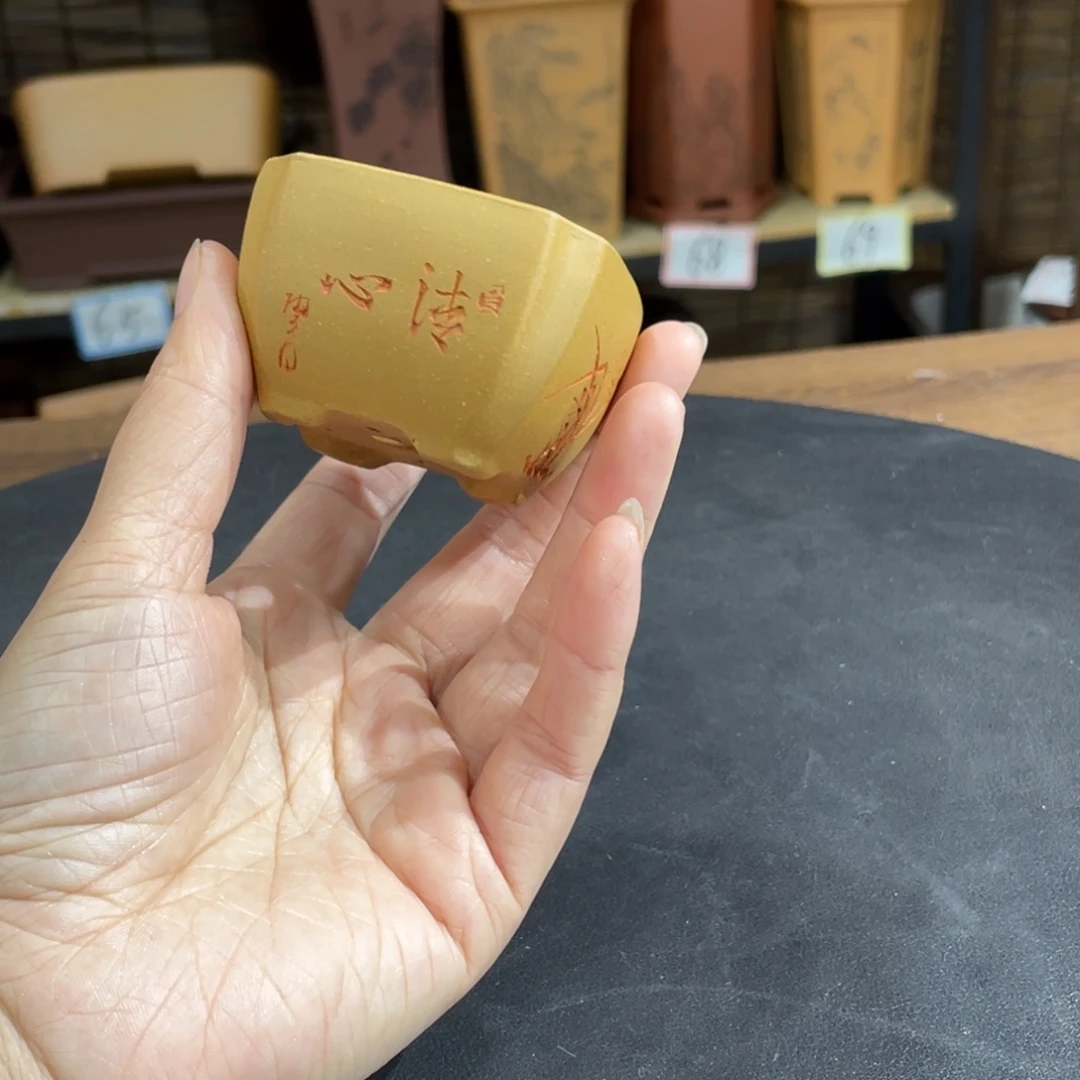 紫砂花盆紫砂和白