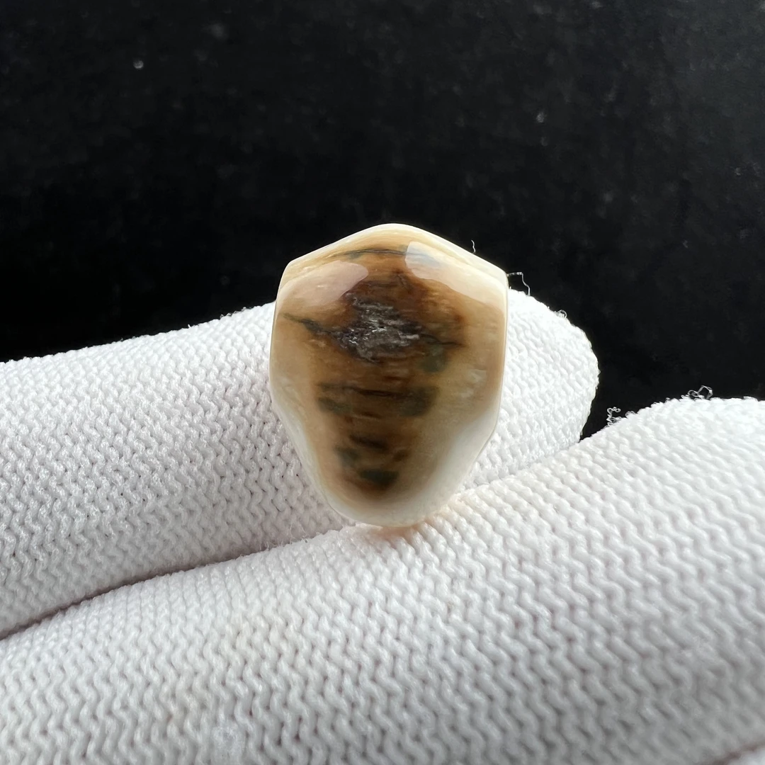 D4365天然猛犸牙 三通 12.4*17mm支持鉴定 假一罚四