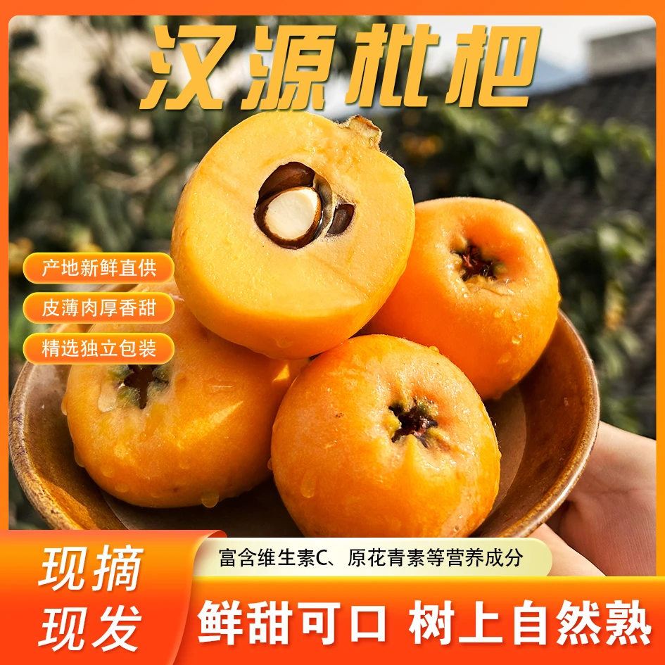 四川枇杷汉源大五星枇杷精品大枇杷爆汁肉厚皮薄核小