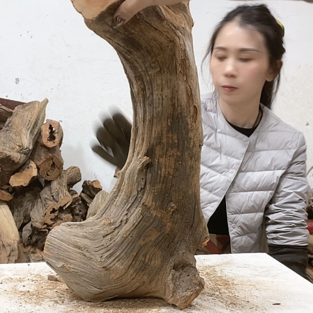 【闪购商品】柏木柏****品我们都是好孩子