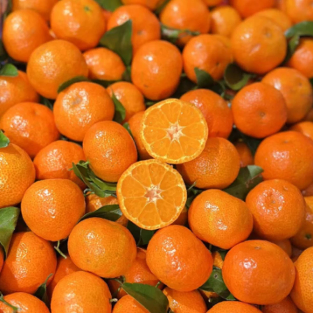 【橙柿果礼】超甜砂糖橘一箱