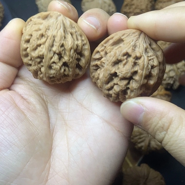 文玩核桃    大粗筋