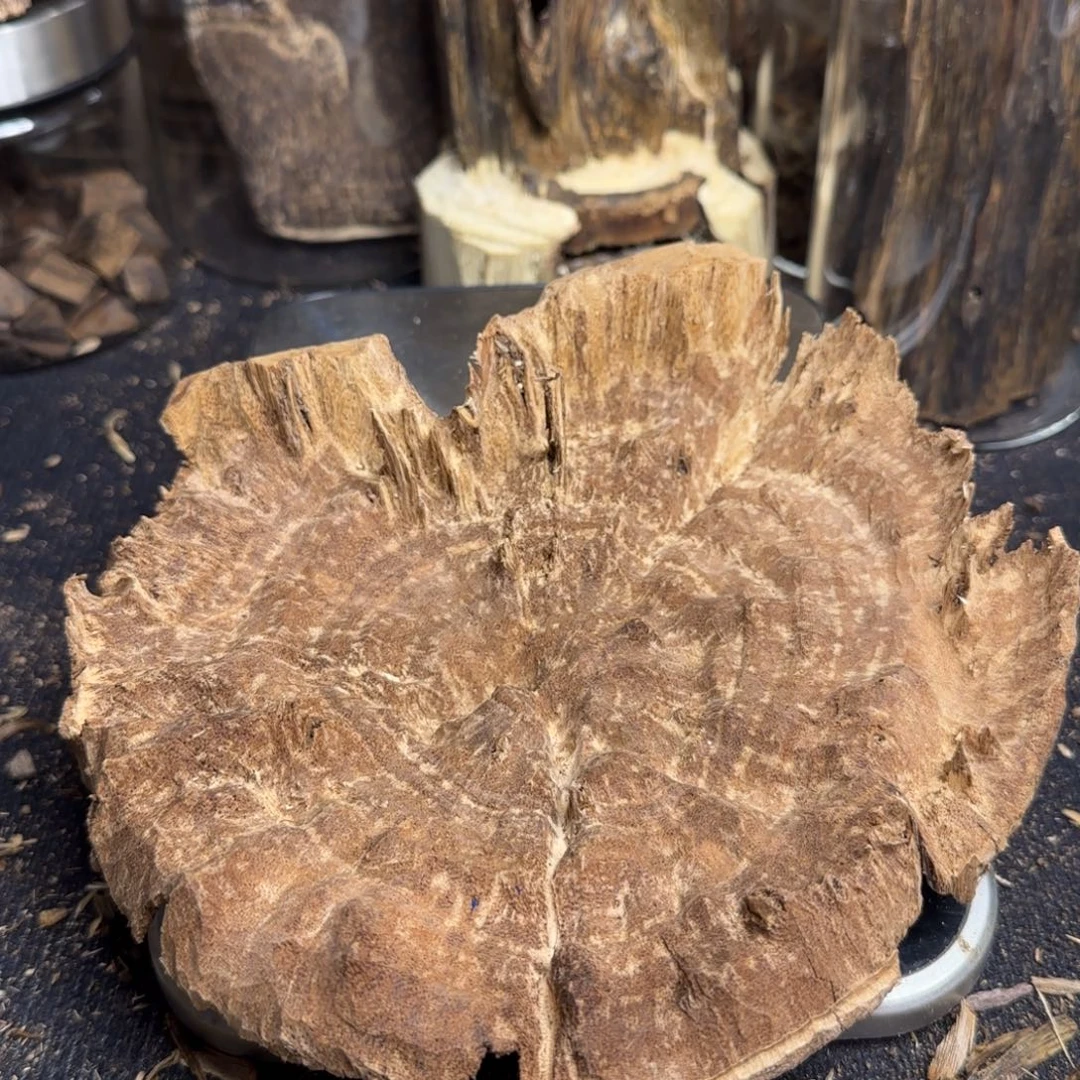 哼***哈沉香沉香碎屑香港天然野生