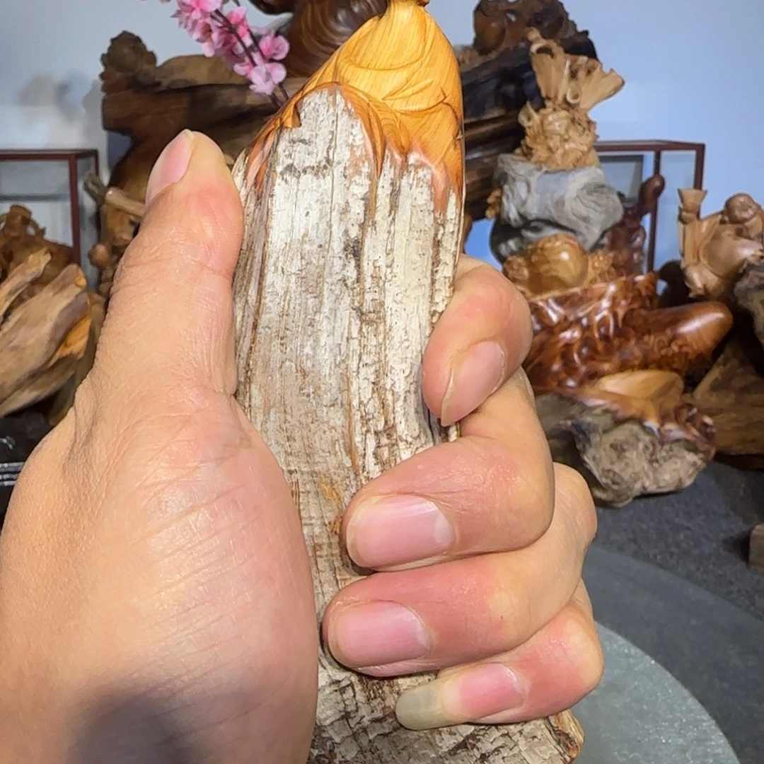 主***升柏木太行崖柏888888