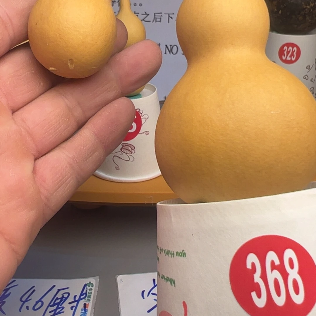 闪电购自助下单编号368有瑕