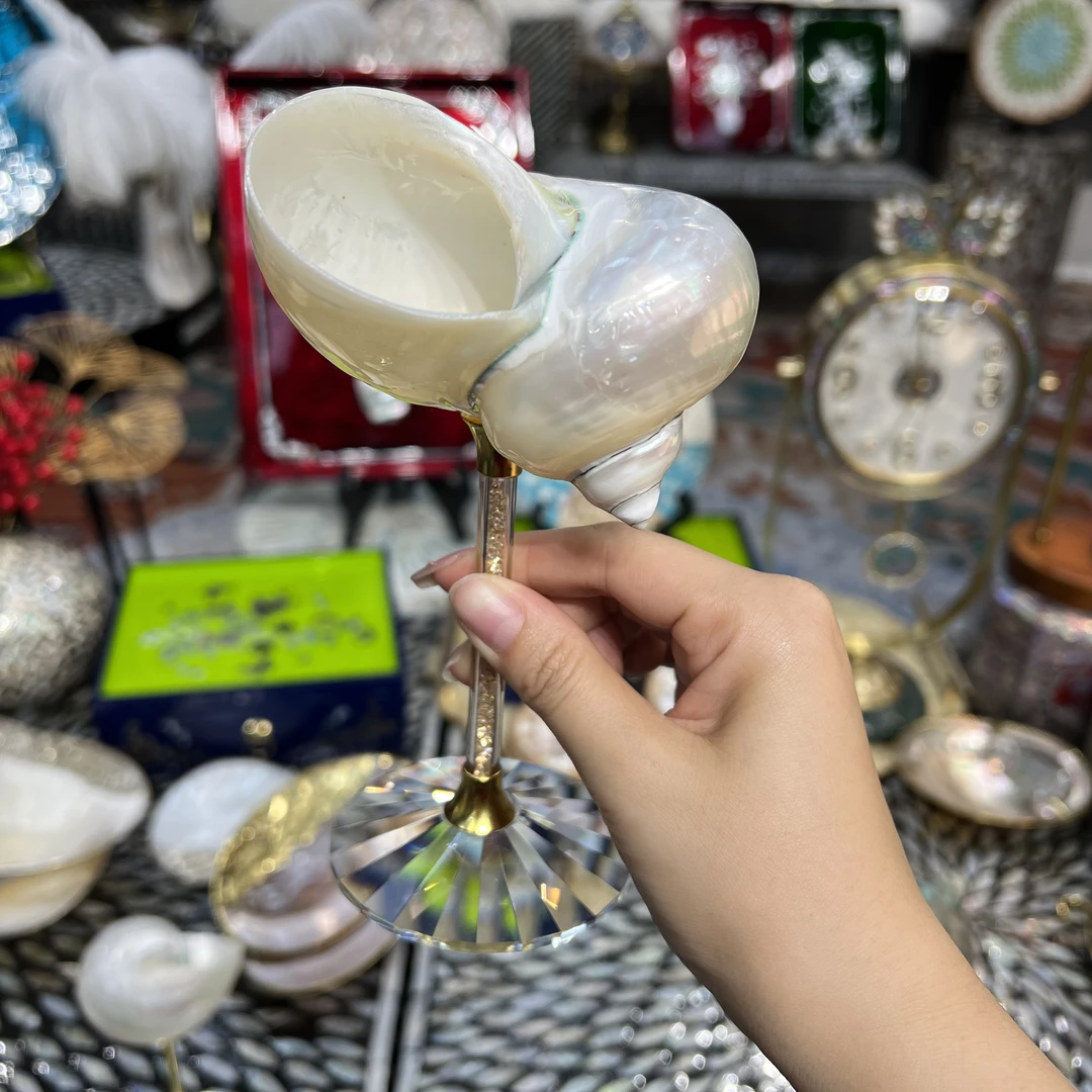 YH-【瑰丽海螺】东南亚深海贝壳手工杯装饰品摆件1个