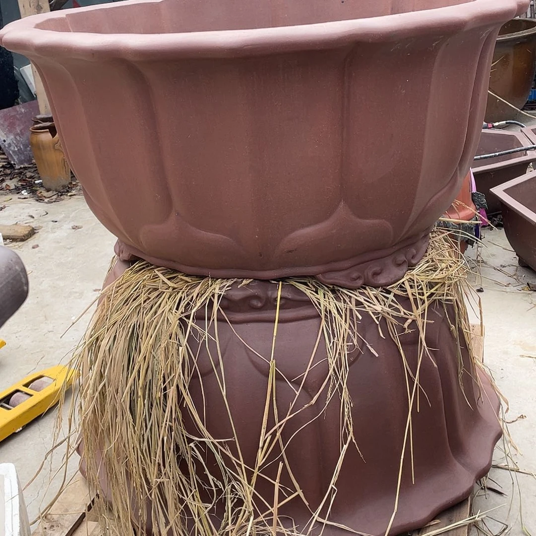 日***月定金莲花两只特价4000