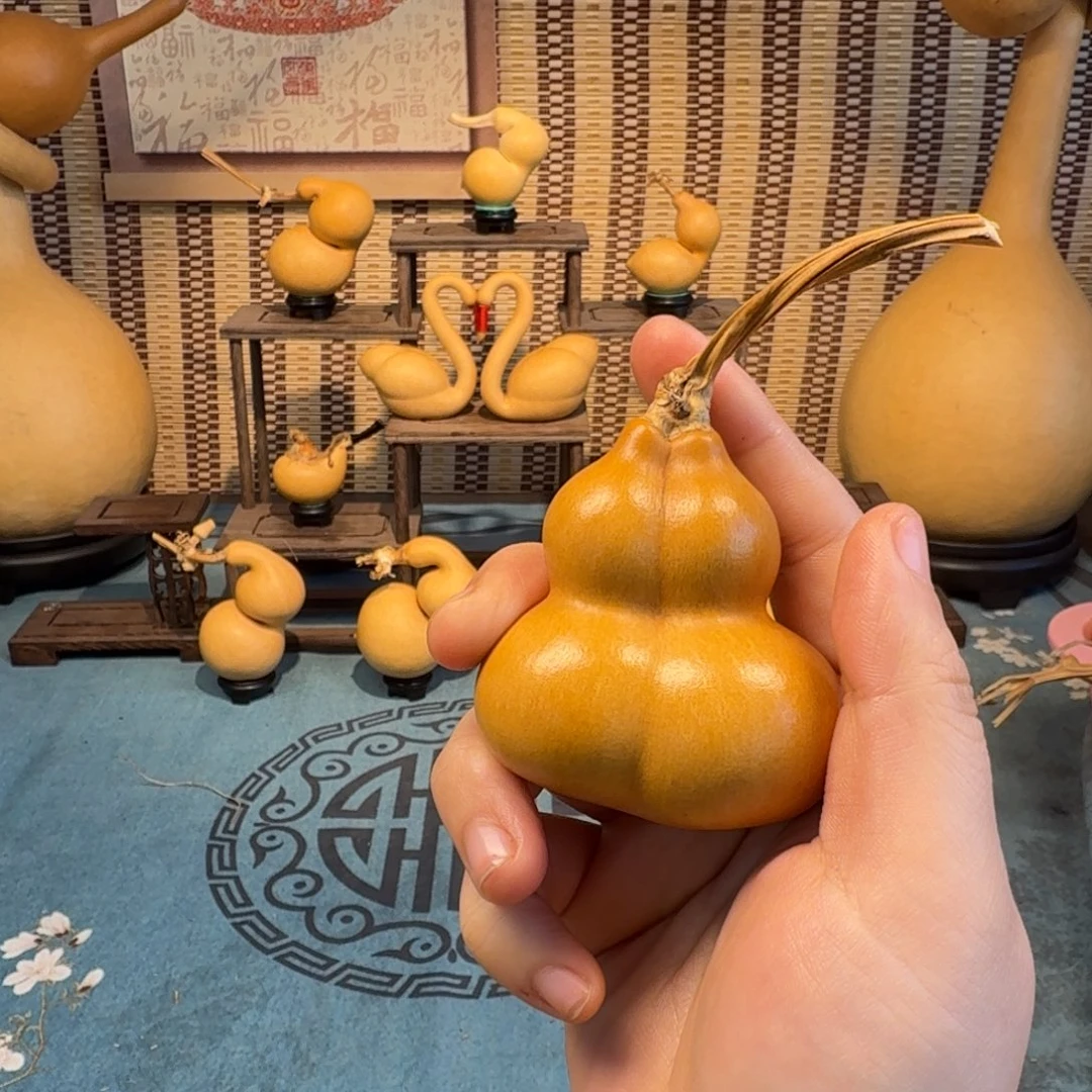 小***葫手把连体异形双胞胎