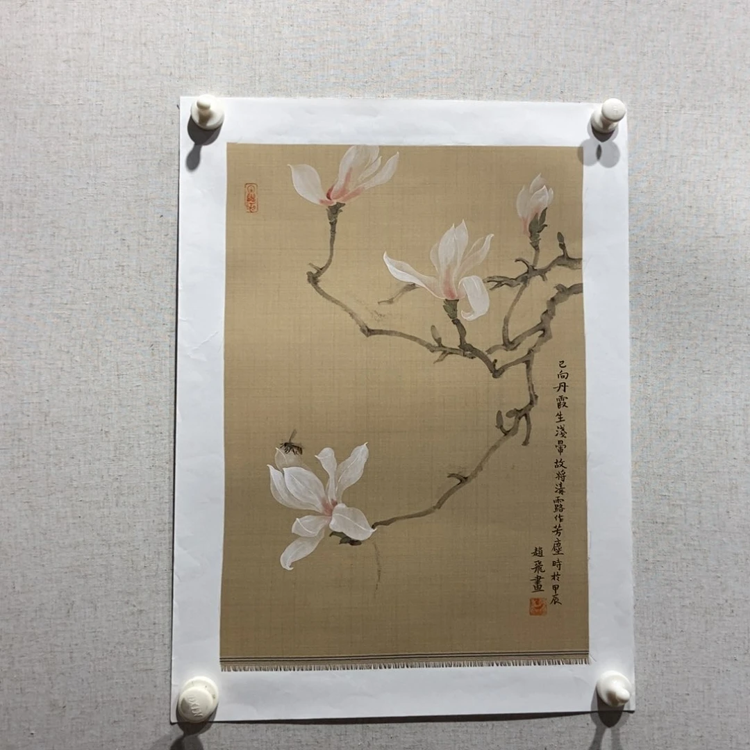 【闪购商品】国画用****3墨鱼精品墨鱼精品