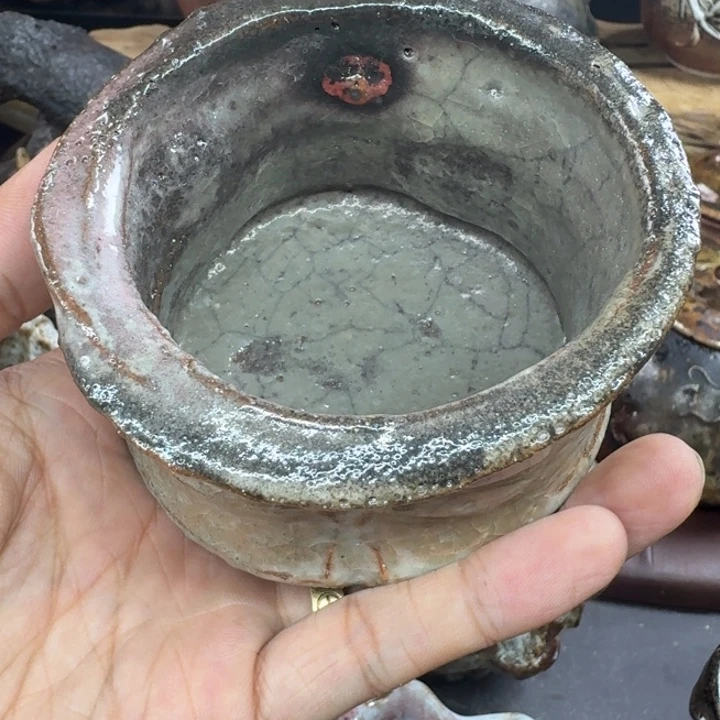看***鲤杨树手作草帽主人杯