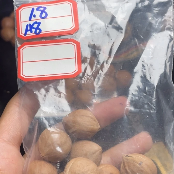 @***笔手串/手链橄榄核1.8