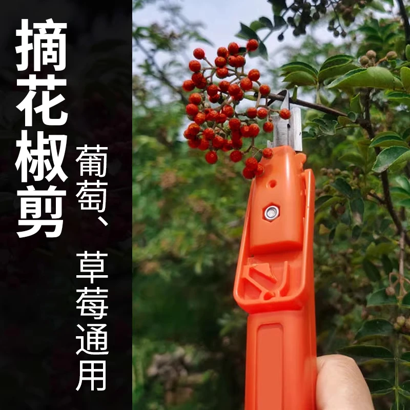摘花椒剪手握剪刀多功能采摘工具葡萄草莓剪枸杞芸豆采摘荔枝龙眼