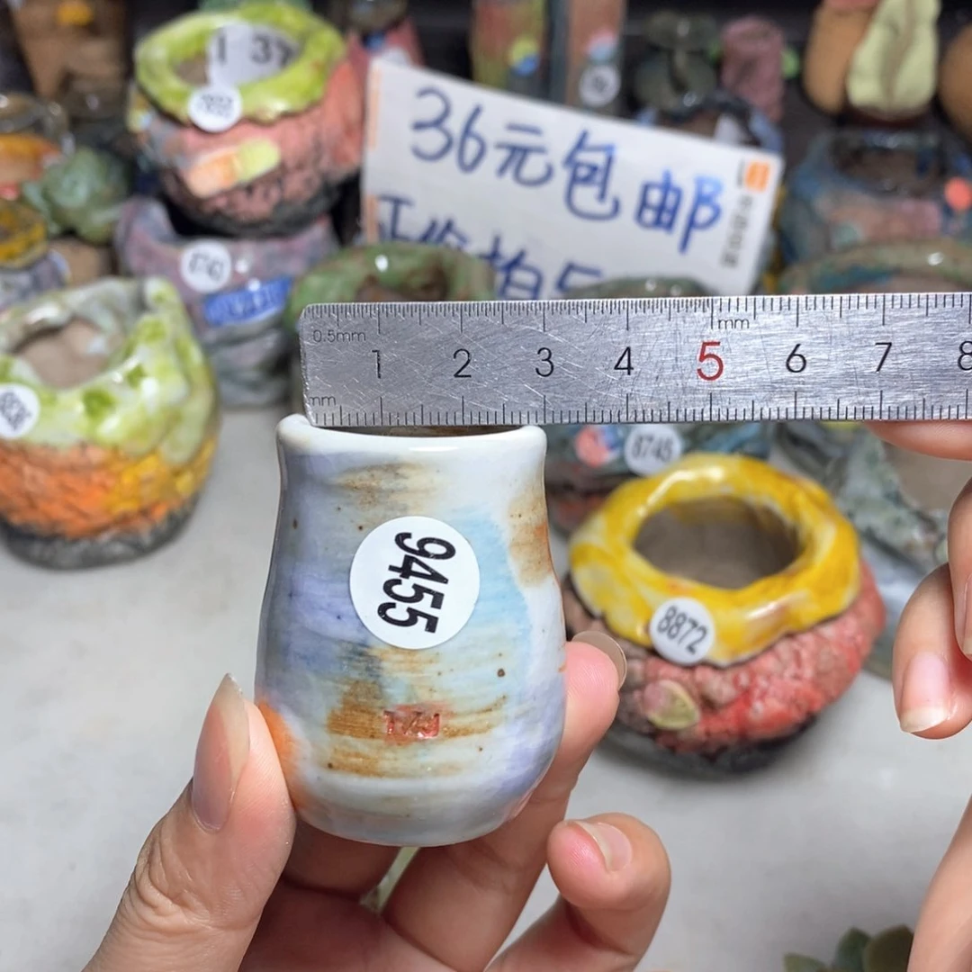 拍5送一个小礼物