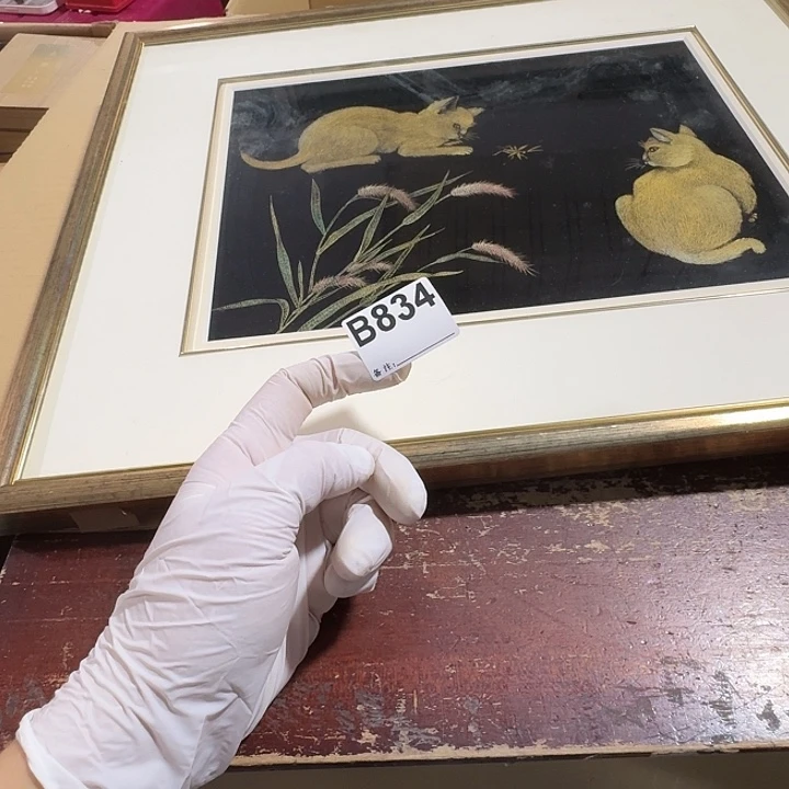 ****️中古商品谨慎下单