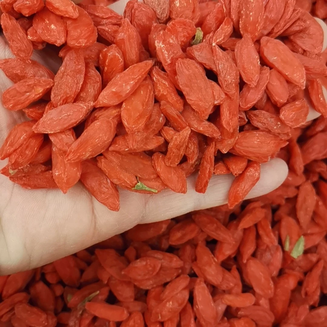 青海诺木洪头茬枸杞中果规格200粒/50克免洗可泡茶泡酒滋补农产品