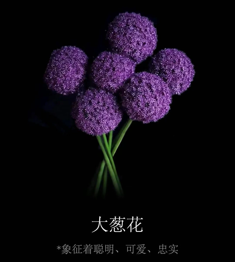 【A级-大葱花】-云南直发家庭养护生活鲜切花顺丰包邮