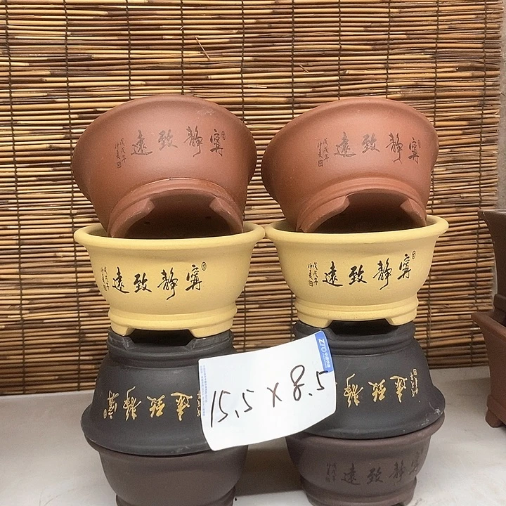 紫砂花盆我在外面