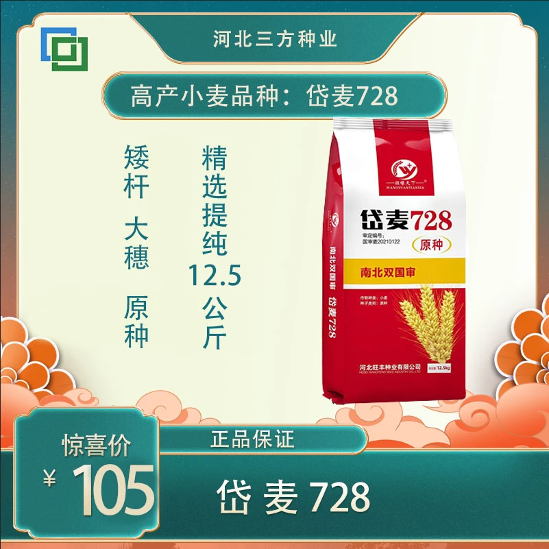 岱麦728小麦，精选提纯25斤包装  不包衣