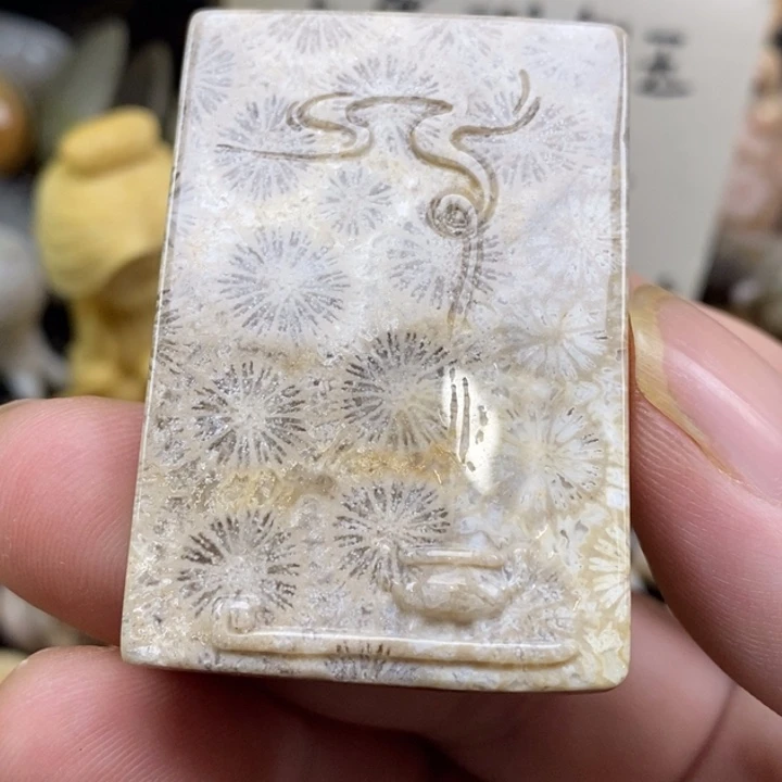 硅化珊瑚（珊瑚玉）未镶嵌颈饰