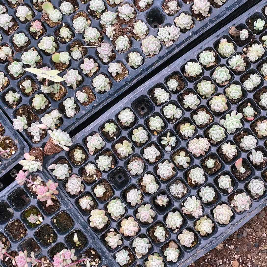 雨水穴一个满25包邮