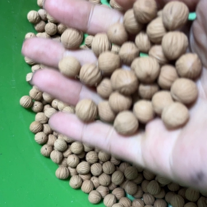 東***使猴头核桃手串苹果100颗
