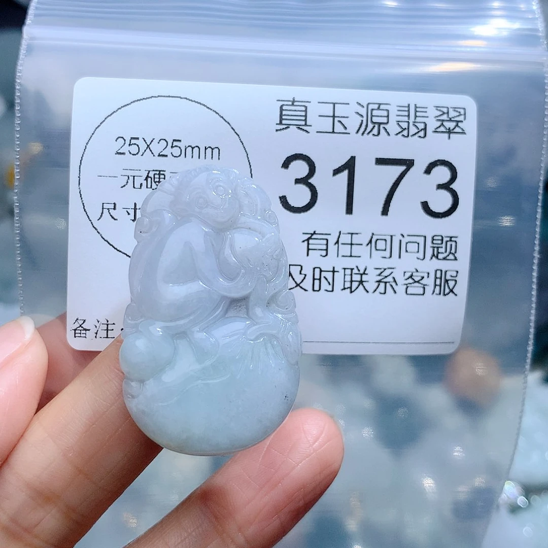 翡翠颈饰未镶嵌3173。