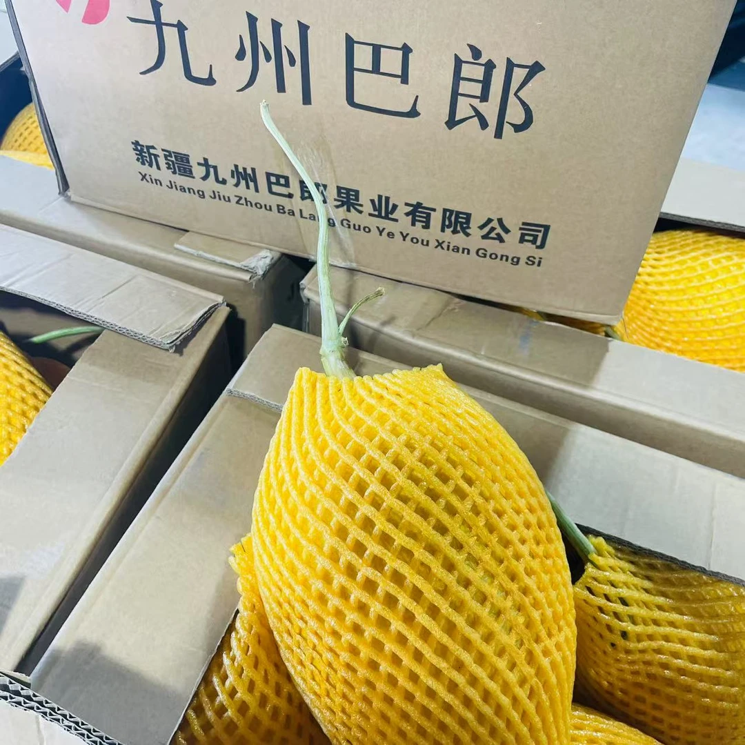 九州巴郎 【2粒装】脆甜好吃的蜜瓜  来自新疆 大棚 黄金蜜瓜