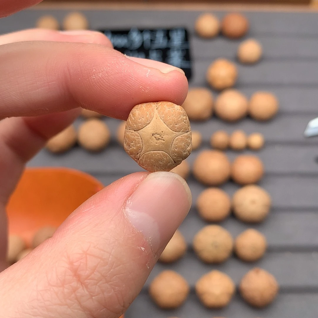 吊坠凤眼菩提15+五星，非质量问题开孔不退