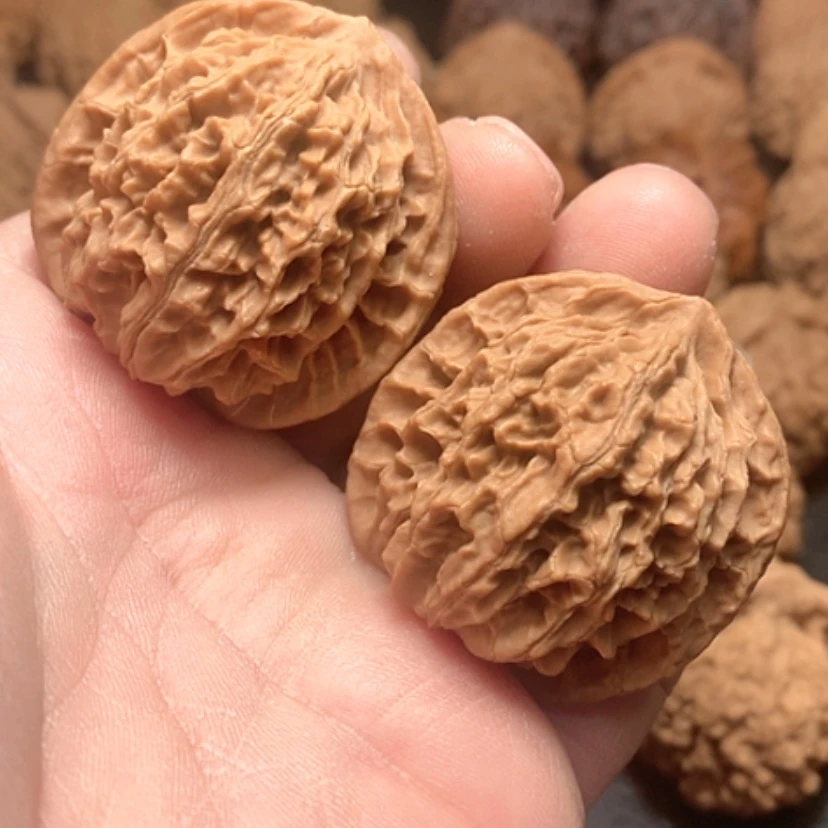 【闪购商品】盘龙纹