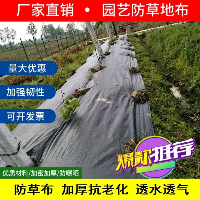 防草布除草耐用PE园艺盖抑透气防草布批发透水寸草不生果树除草布