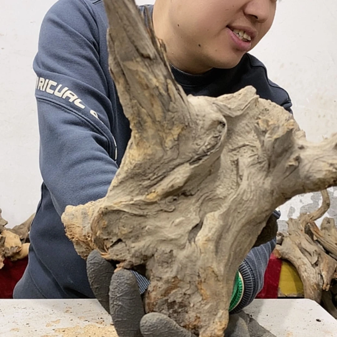 【闪购商品】柏木展****）我们都是好孩子