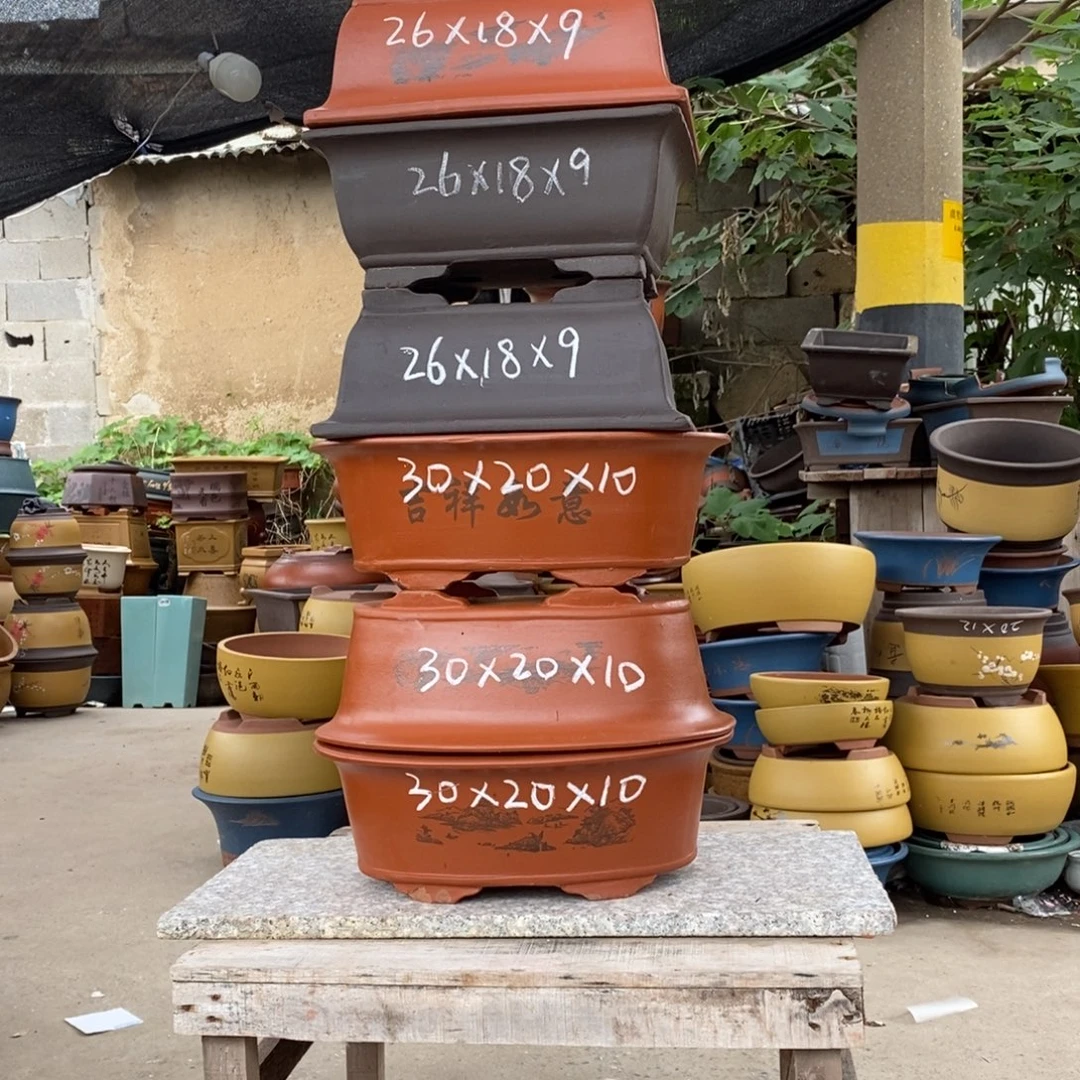 紫砂紫砂紫砂紫砂紫砂