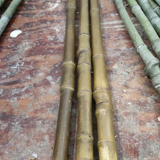 亨***授实心玉竹手把件金条料