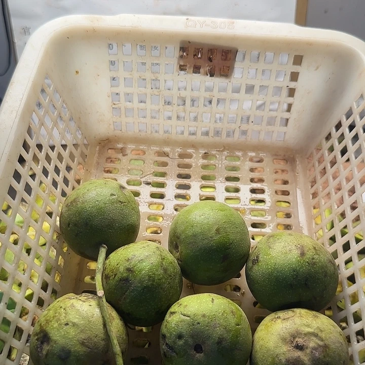 吊坠文玩核桃宫灯小10颗