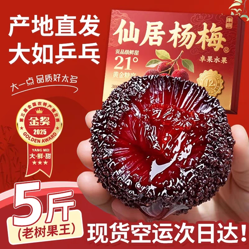 【YC甄选】正宗仙居东魁高山杨梅当天采摘发货颗粒装应季水果酸甜