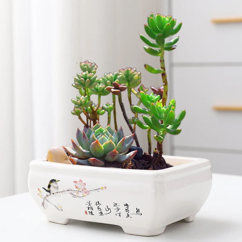 中国风陶瓷花盆紫砂胎长方形多肉盆栽盆沉雕室内简约古典手绘盆器