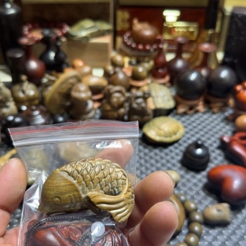 维腊木（绿檀）@****旅