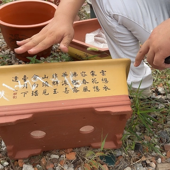 紫砂花盆紫砂花盆盆景盆