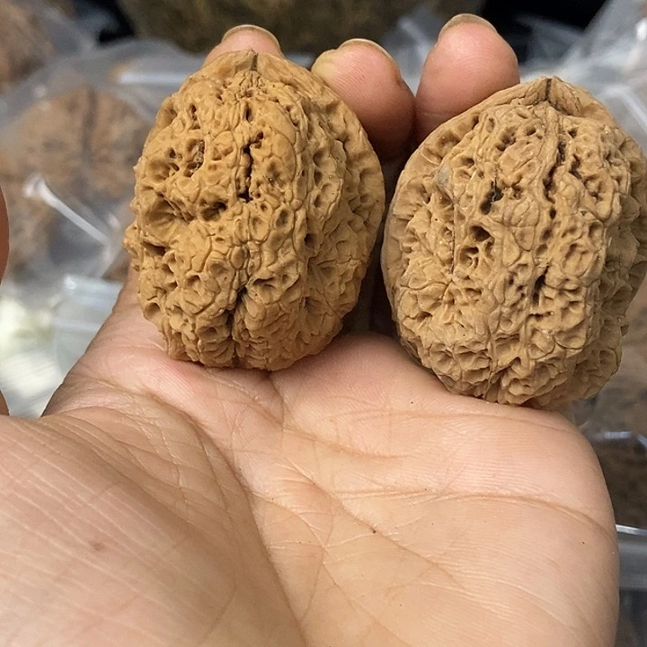 把件文玩核桃云南铁核桃基地43