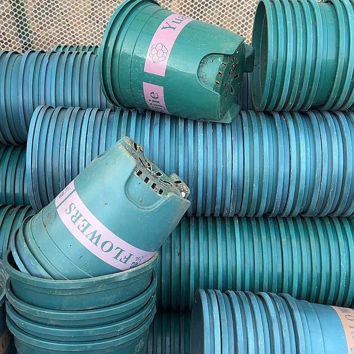 绿加仑盆口径15高15发12个