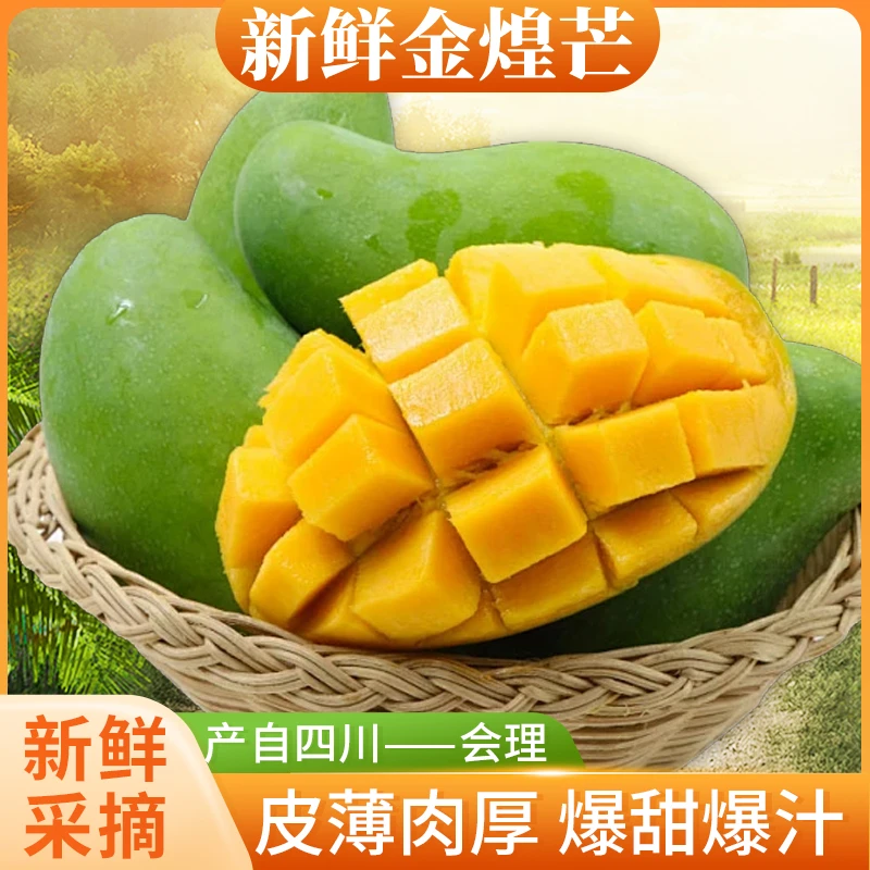 【金煌芒】大青芒带箱重3/5/10斤装皮薄肉厚核小多汁果园现发