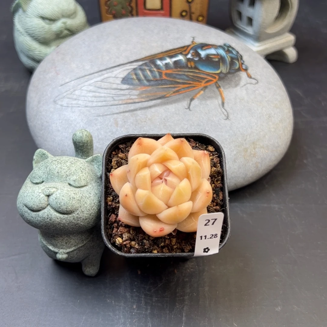 好好看27、哈哈哈哈哈