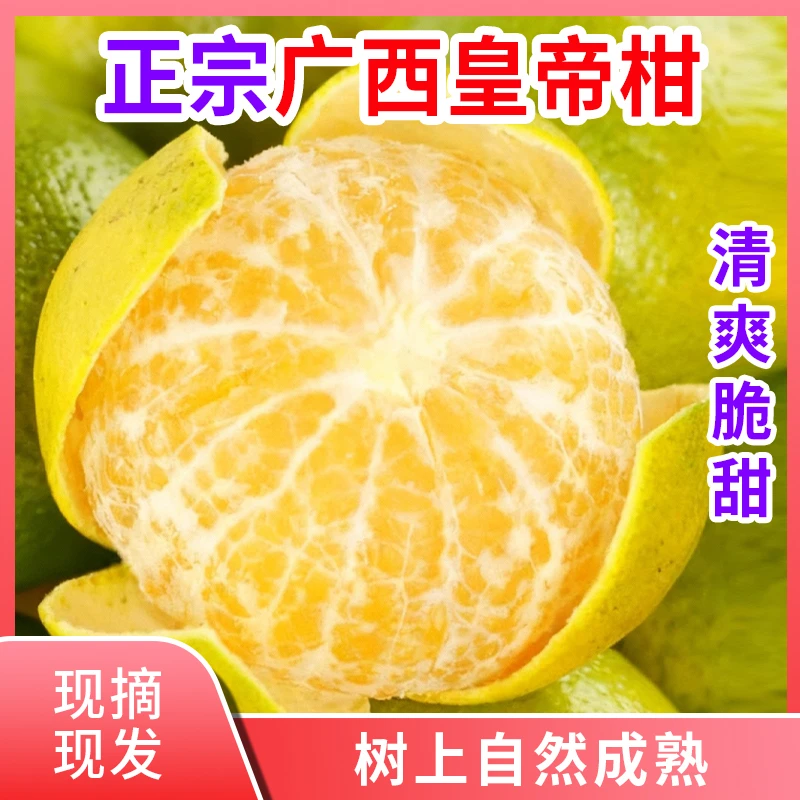 现摘新鲜广西皇帝柑薄皮贡柑清爽脆甜当季水果配开果器