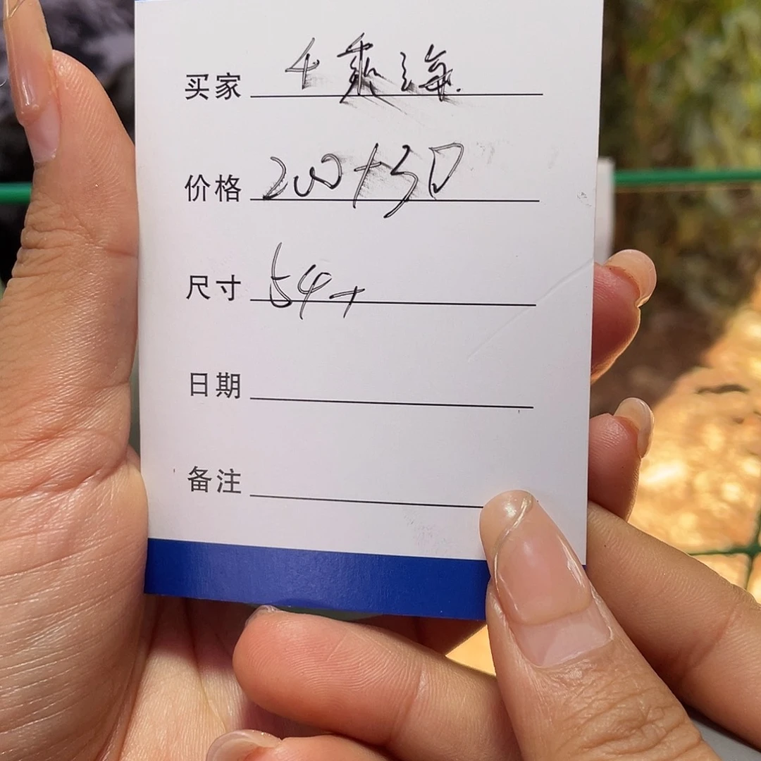 千***具非金属所见皆所得