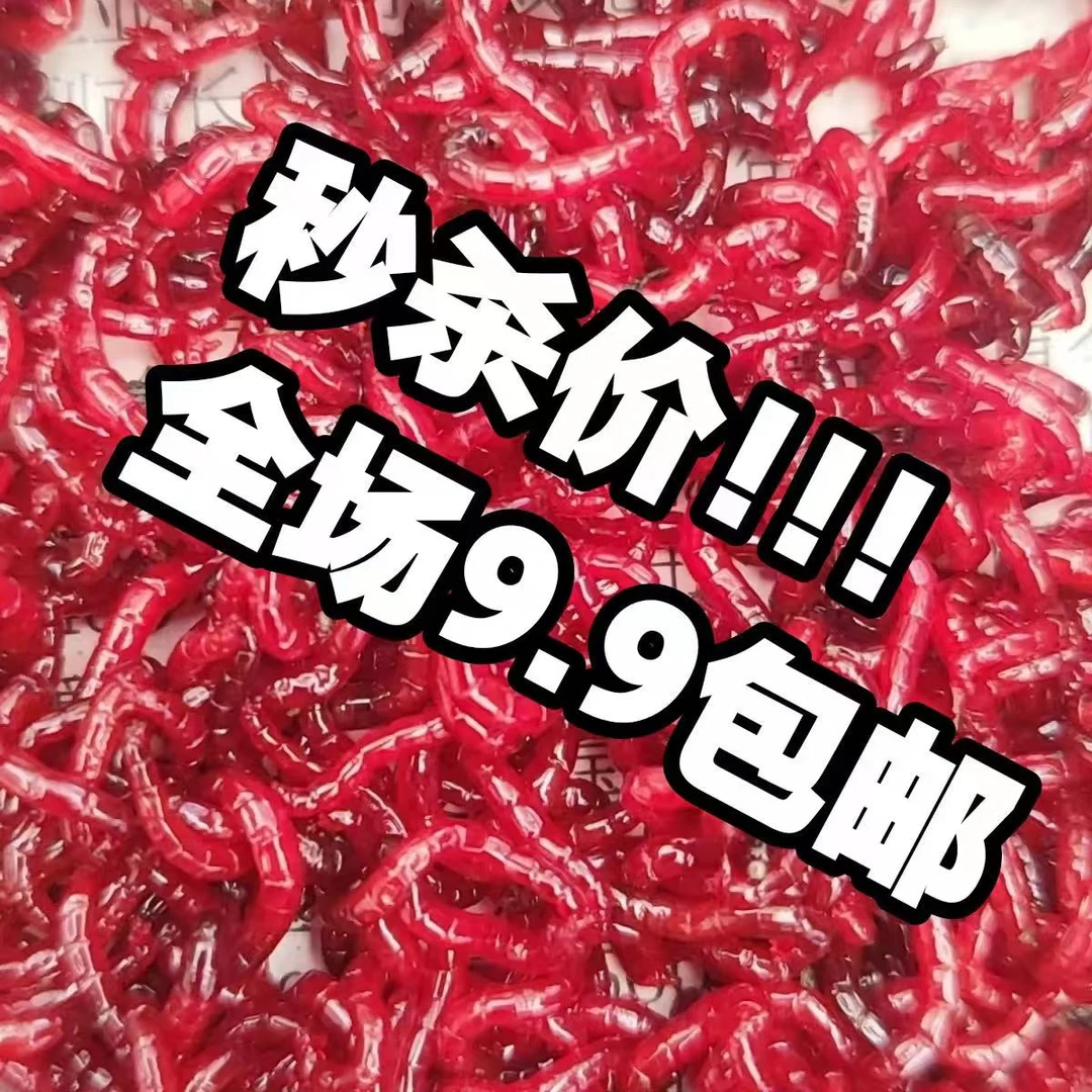 【钓鱼人必备】红虫钓鱼野钓挂饵效果惊人鲜活饱满