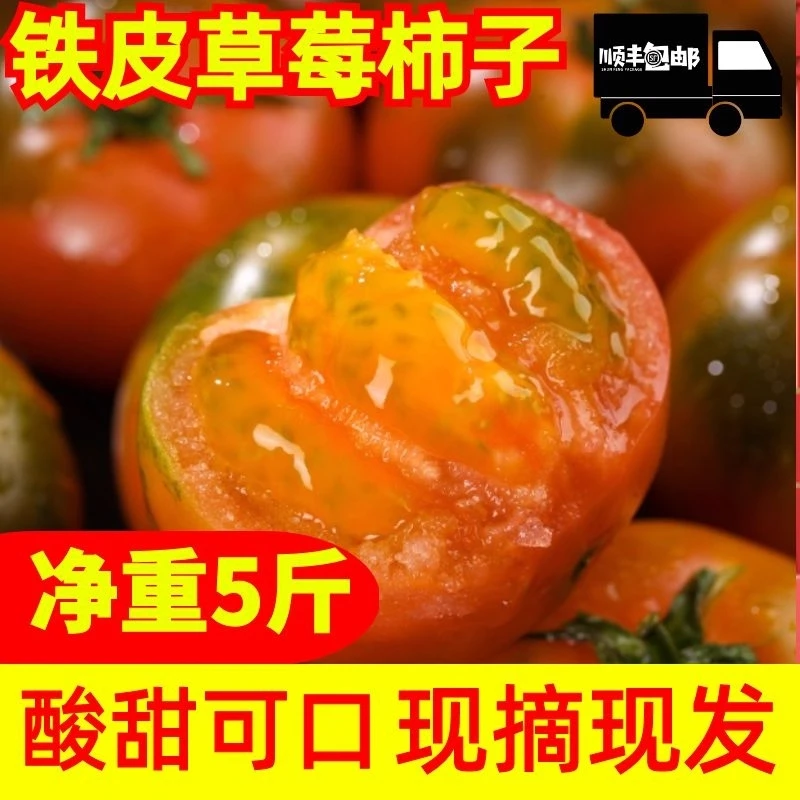 5斤装丹东草莓铁皮西红柿酸甜东北番茄酸甜可口自然熟草莓柿子